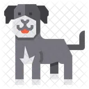 Stjohn Dog Animal Icon