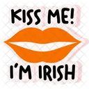 St Patrick Saint Patrick Irish Icon