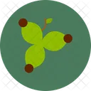 Stachelbeeren Lebensmittel Obst Icon