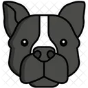 Staffordshire Bull Terrier Pet Dog Dog Icon