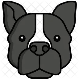 Perro staffordshire bull terrier  Icono