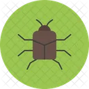Stag Beetle Insect Bug Icon