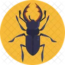 Stag Beetle  Icon