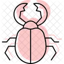 Stag Insect Beetle Icon