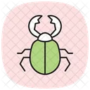 Stag Insect Beetle Icon