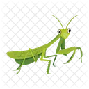 Gottesanbeterin Symbole Susse Gottesanbeterin Mantodea Symbol