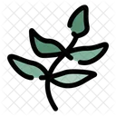 Stalk Floral Pattern Corn Icon