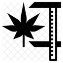Standardization  Icon