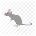Rat Mouse Animal アイコン
