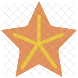 Star  Icon