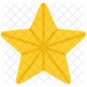 Christmas Star Ornament Icon