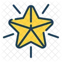 Star Badge Point Icon