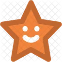 Star Ornament Christmas Icon