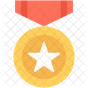 Star Medal Award Icon