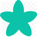 Star Flower Customshape Icon
