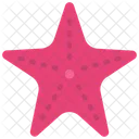 Star  Icon