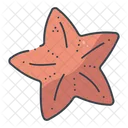 Star Fish Wildlife Icon
