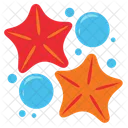 Star Sea Animal Icon
