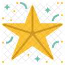 Star Christmas Day Icon