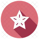 Star Award Prize Icon