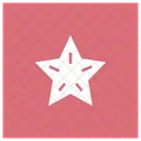 Star Award Prize Icon