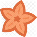 Star Anise Cooking Icon