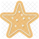 Star Cookies Gingerbread Icon