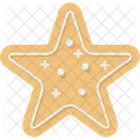 Star  Icon