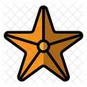 Star Icon