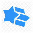 Star Angle  Icon