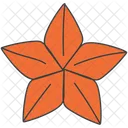 Illicium Verum Star Anise Spice Icon