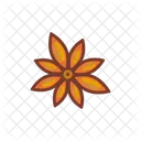 Star Anise Dried Ingredients Icon