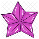 Star Anise Badiam Illicium Verum Icon