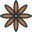 Star Anise Spices Spice Icon