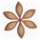 Star Anise Herbal Spices Icon