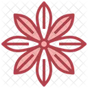 Star Anise  Icon