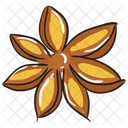 Star Anise  Icon