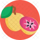 Exotic Fruits Star Apple Fruit Icon