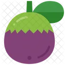 Star Apple Fruit Exotic Icon