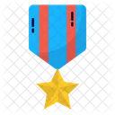 Star Badge Achievement Officer Icon