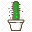 Star Cactus Succulent Icon