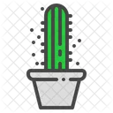 Star Cactus Succulent Icon