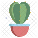 Star Cactus Cactus Pot Cactus Plant Icon