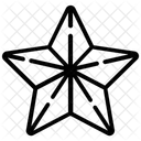 Decor Star Ornament Icon
