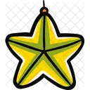 Star decoration  Icon