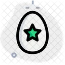 Star Decoration Egg Icon
