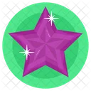 Gemstone Star Diamond Emerald Icon