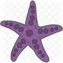 Sea Creature Starfish Sea Star Icon