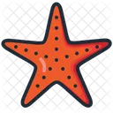 Seastar Starfish Sea Icon