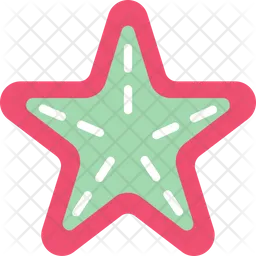 Star Fish  Icon
